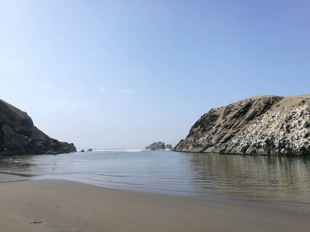 Humedales Puerto Viejo - Image 2