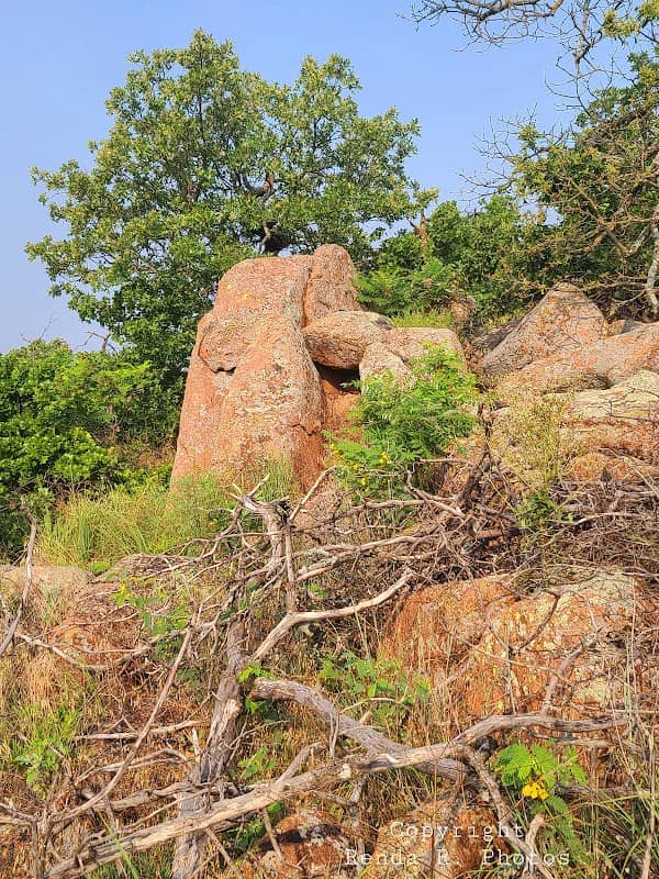 Bison Mountain - Image 2