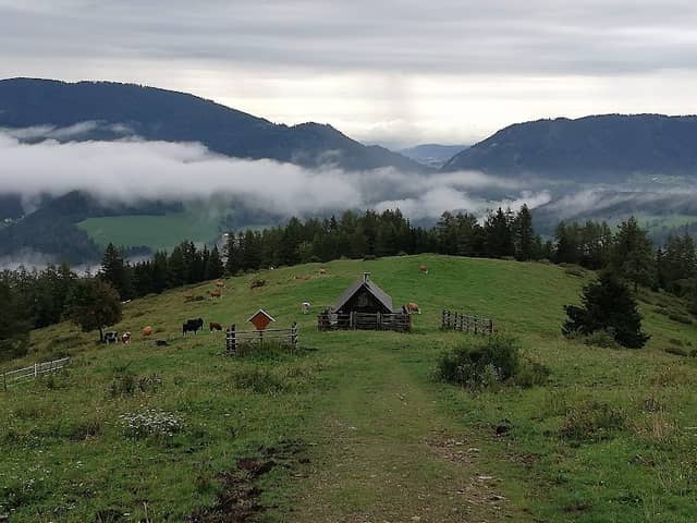 Ochsenhalt Hütte - Image 1