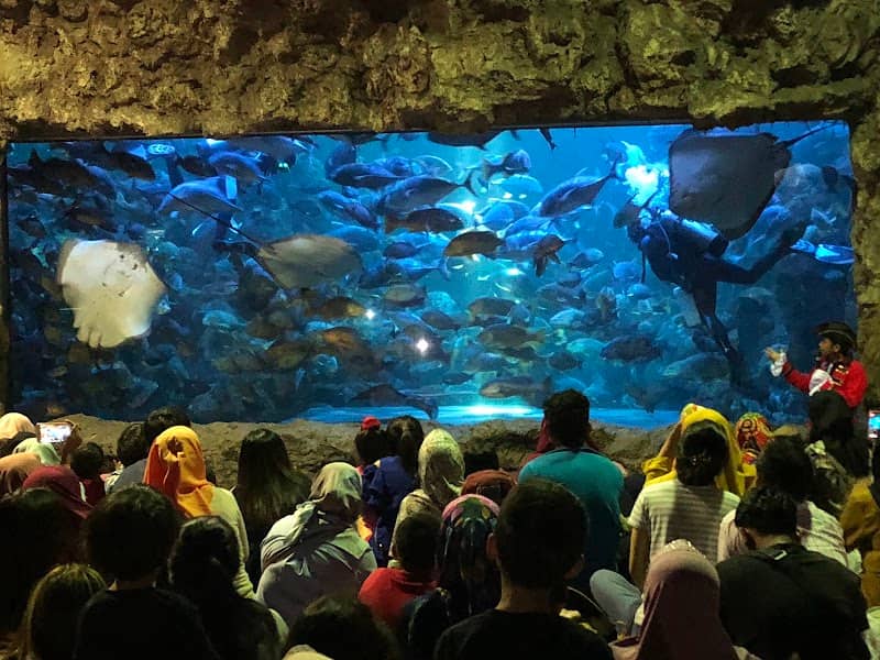 Sea World Ancol - Image 1