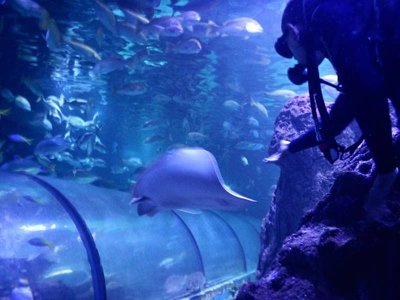 Sea World Ancol - Image 2