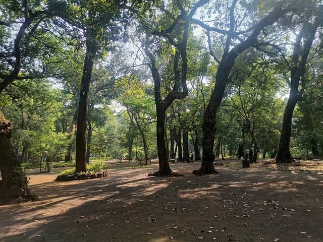 Ryewood Garden - Image 1