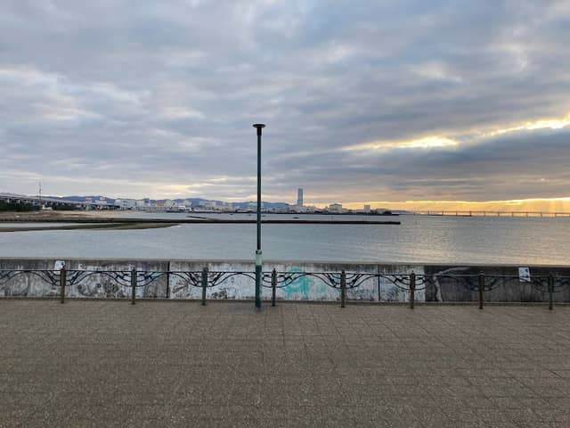 Observation Park - Image 1
