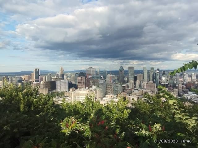 Mt-Royal Park - Image 1