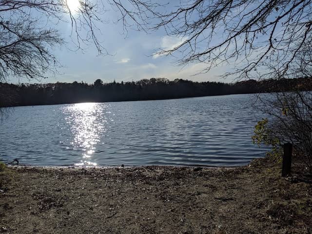 Fresh Pond Conservation Land - Image 2