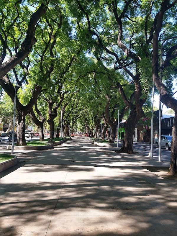 Paseo Alameda - Image 1