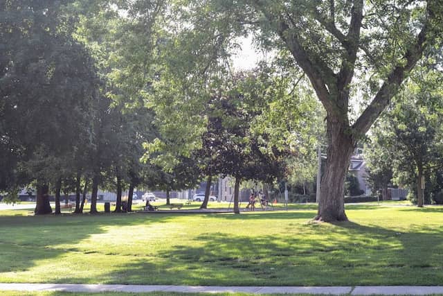 Horovitz Park - Image 2