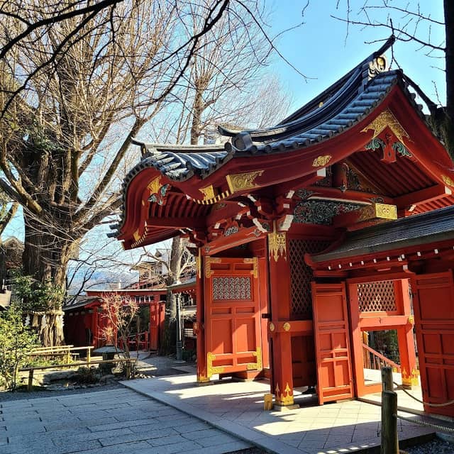 大銀杏 - Image 1