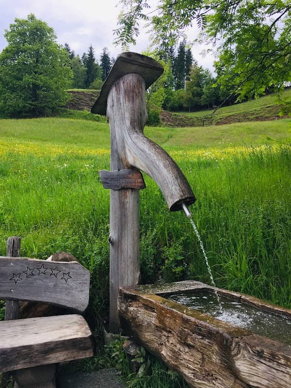 Brunnen / Wasserstelle - Image 1
