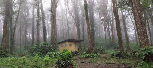 Makiling Rainforest Picnic Area - Image 1