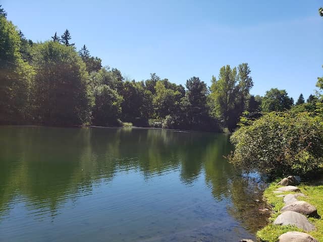 Secret Park - Image 1