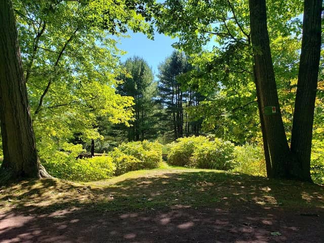 Secret Park - Image 2