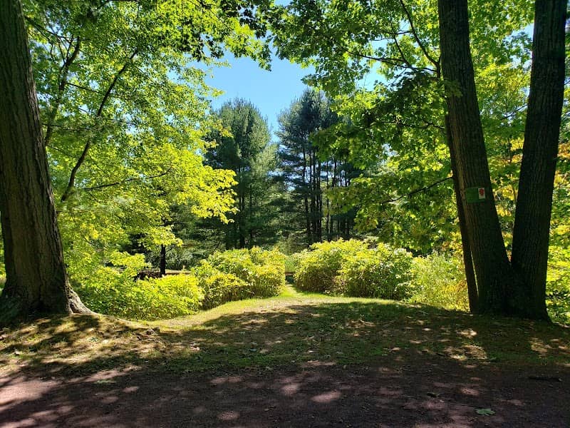 Secret Park - Image 2