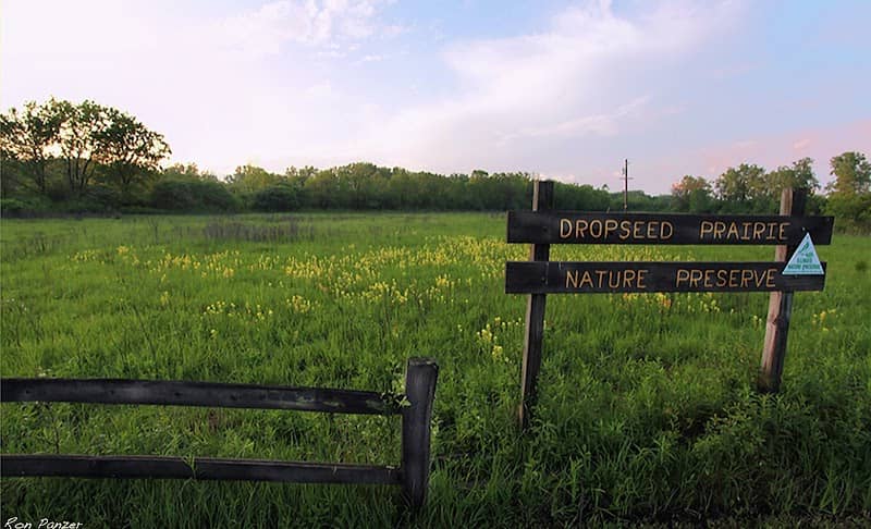 Indian Boundary Prairies - Dropseed Prairie - Image 2