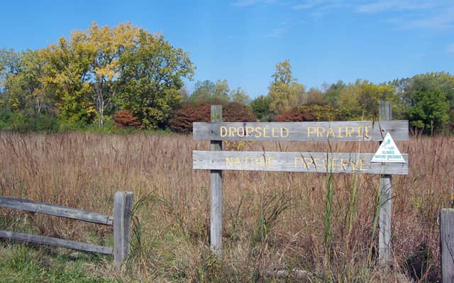 Indian Boundary Prairies - Dropseed Prairie - Image 1