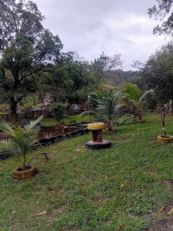 Sitio dos minerinhos - Image 1
