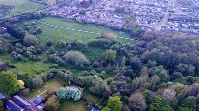 Glamis Meadow and Wood - Image 2