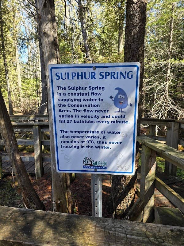 Sulphur Spring Conservation Area - Image 1