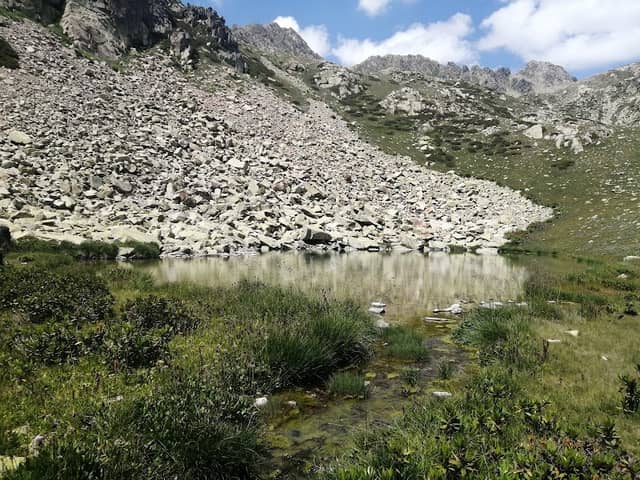 ყვითელი ტბა - Image 1