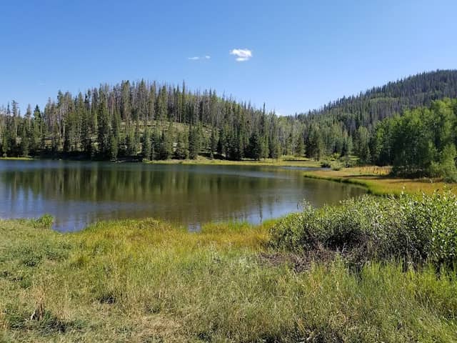 Pearl Lake State Park - Image 3