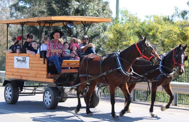 Hunter Valley Country Carriages - Image 1