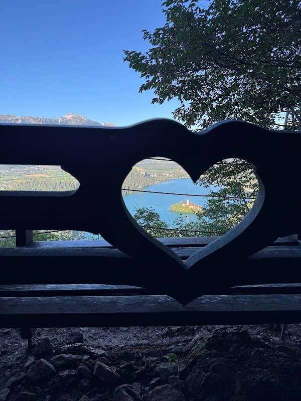 ViewPoint Heart Bank - Image 2