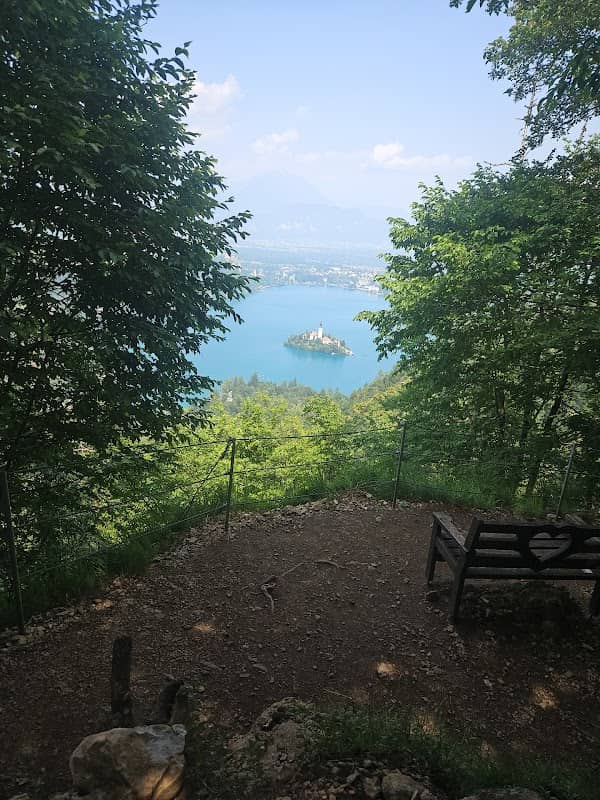 ViewPoint Heart Bank - Image 1