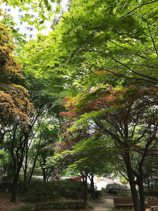 오목문화근린공원 - Image 1