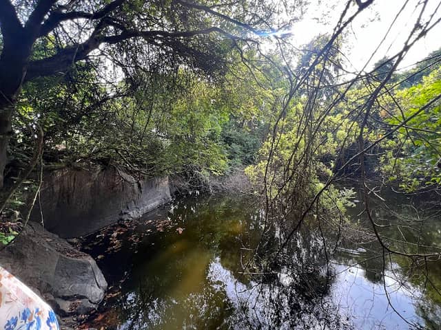 Paarakulam - Image 1