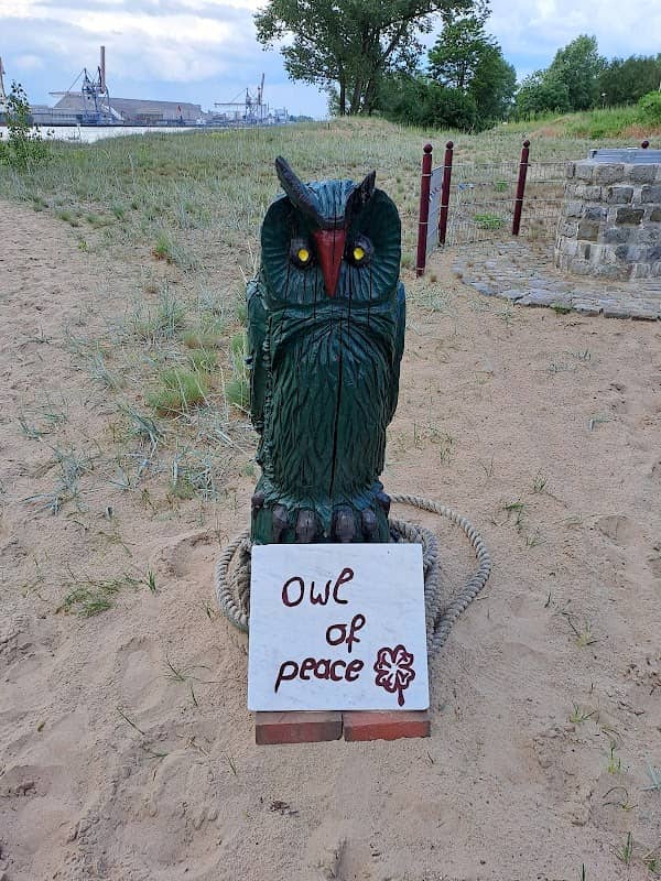Owl of Peace - Image 2
