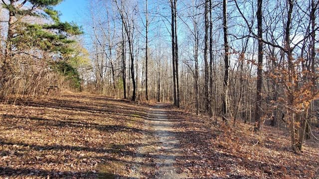 Drummonds Park - Image 1