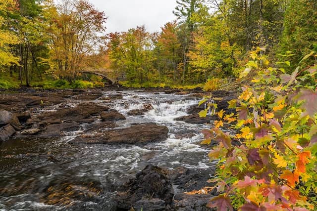 Price Rapids - Image 1