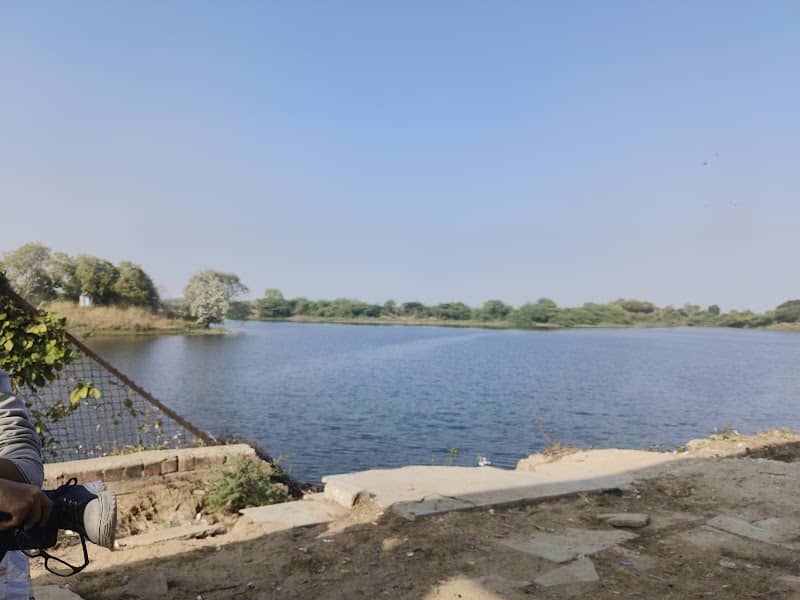 Thol village lake - Image 1