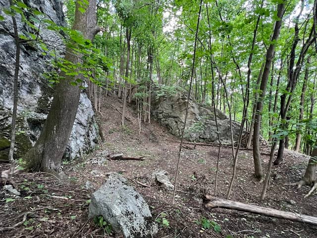 Red Fox Ravine - Image 1