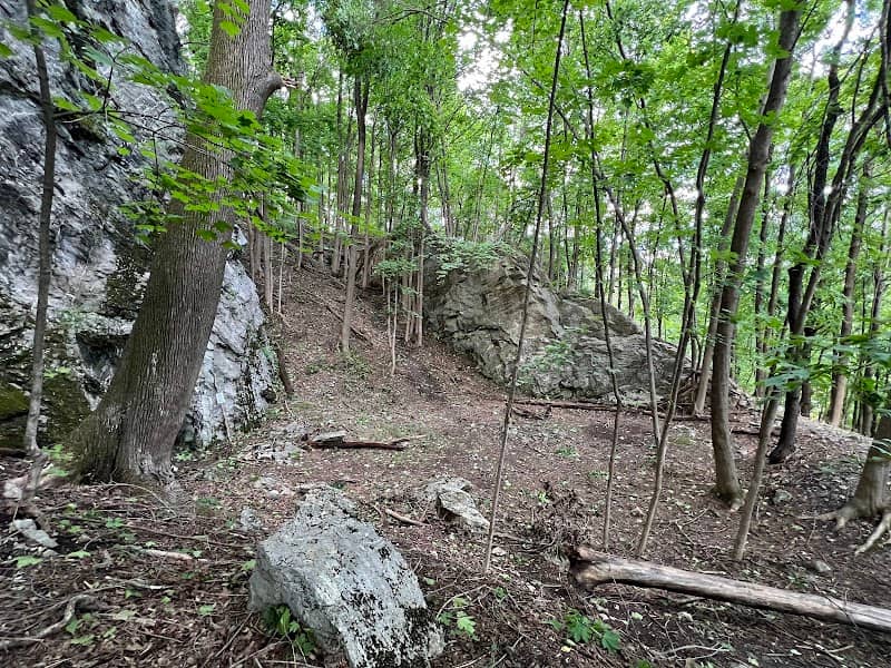 Red Fox Ravine - Image 1