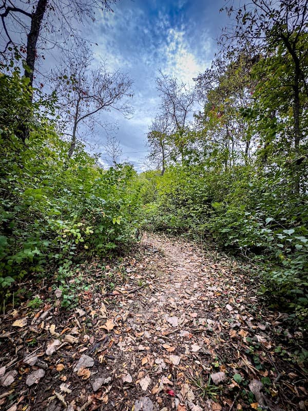 Fishers Heritage Park at White River - Image 2