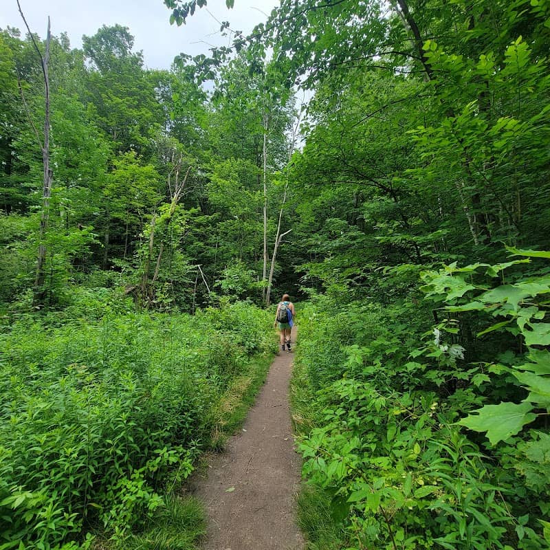 Lye Brook Falls Trail - Image 2