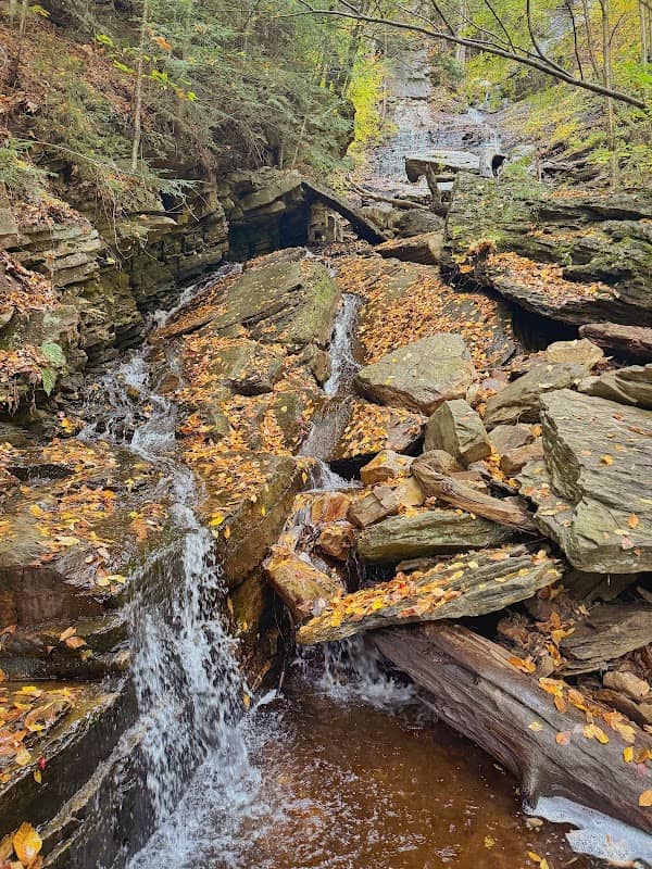 Lye Brook Falls Trail - Image 1