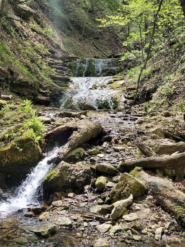 Big Springs - Image 1