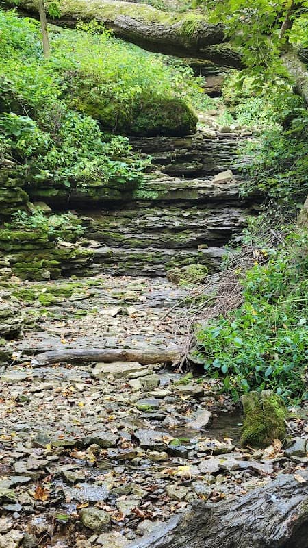 Big Springs - Image 2