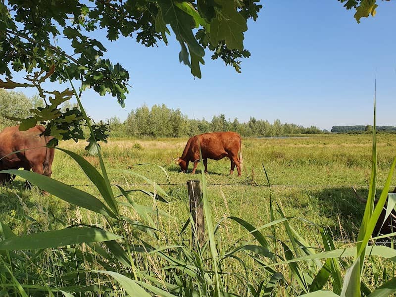 Kanaalpark - Image 2