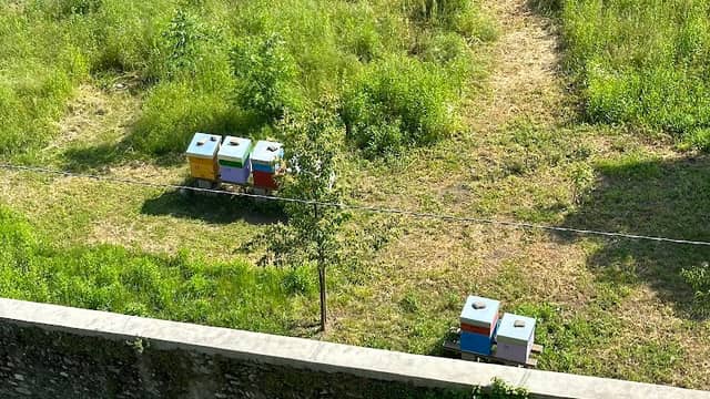L' isola della biodiversità - Image 1