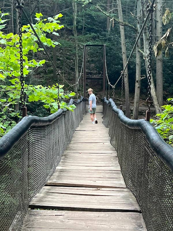 Suspension Bridge - Trough Creek State Park - Image 1