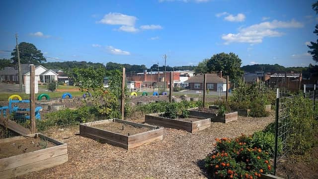 Mt. Gilead Community Garden - Image 2