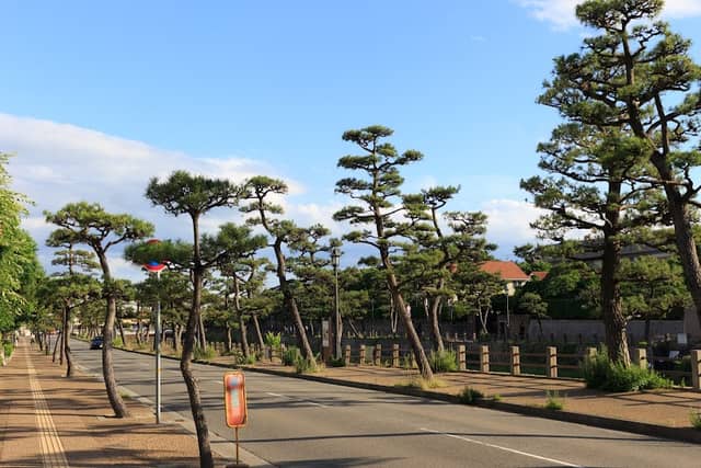 芦屋川松風通リ - Image 3