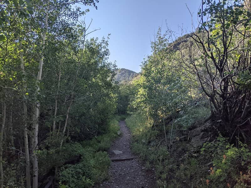 Wellington Ditch Trail - Image 1