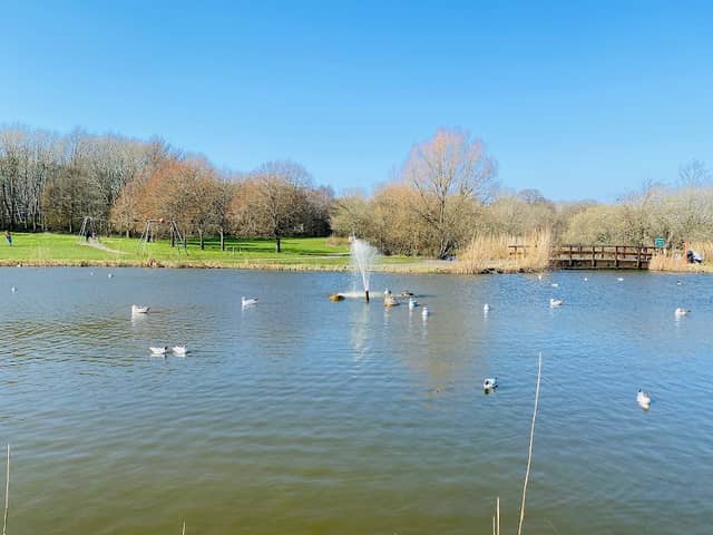 Littledown Park - Image 2
