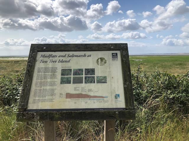 Borrowdyke - Image 2