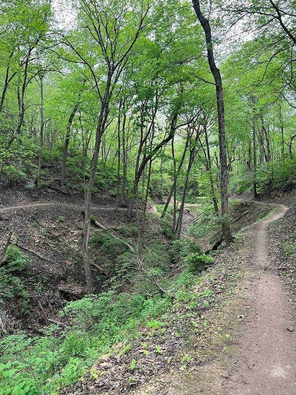 Atwood Mountain Bike Park - Image 2