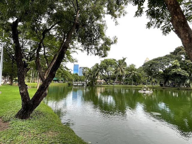 Lumphini Park - Image 3